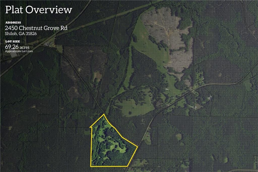 Property Photo:  2450 Chestnut Grove Road  GA 31826 
