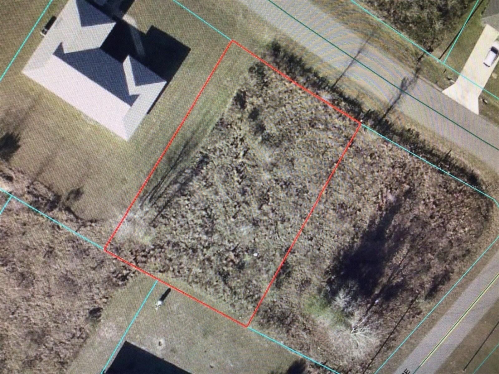 Property Photo:  Juniper Run  FL 34480 
