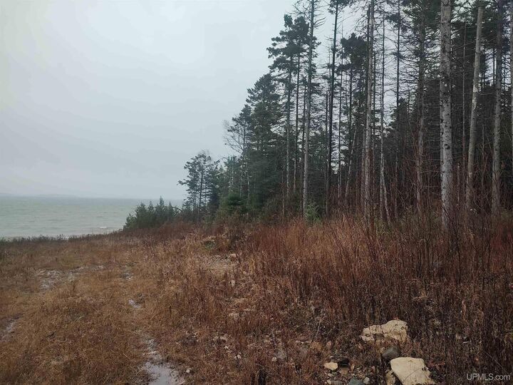 Property Photo:  94 Acres Saint Mary's River  MI 49725 