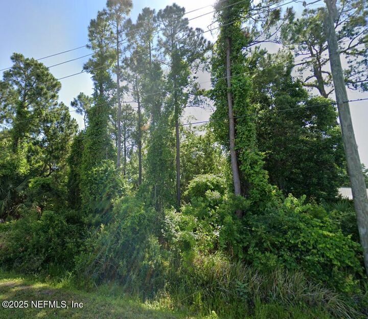 Property Photo:  0 Dobbs Road  FL 32086 