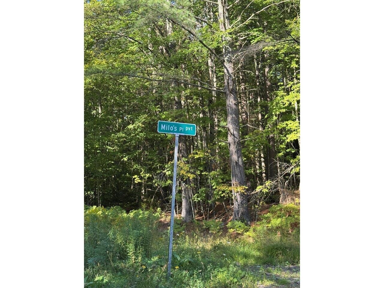 Property Photo: Lot 4 Milo'S Place VT 05682