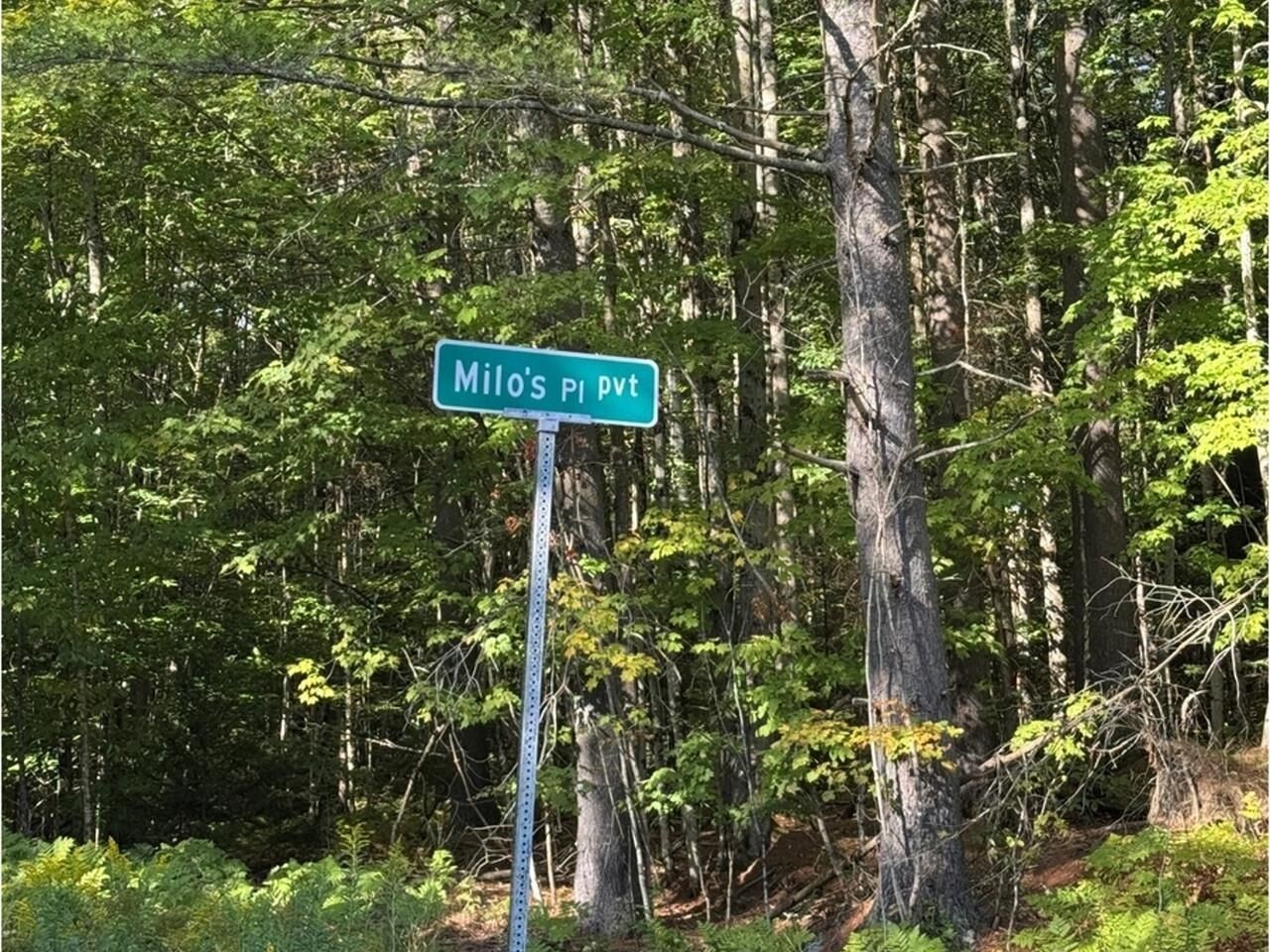 Property Photo:  Lot 4 Milo's Place  VT 05682 