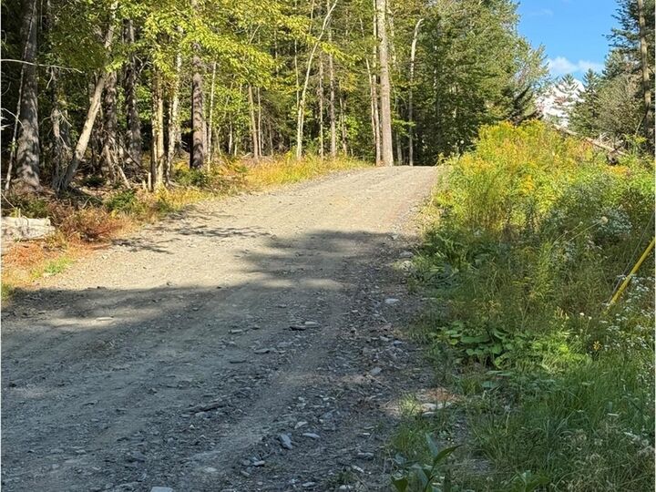 Property Photo:  Lot 5 Milo's Place  VT 05682 