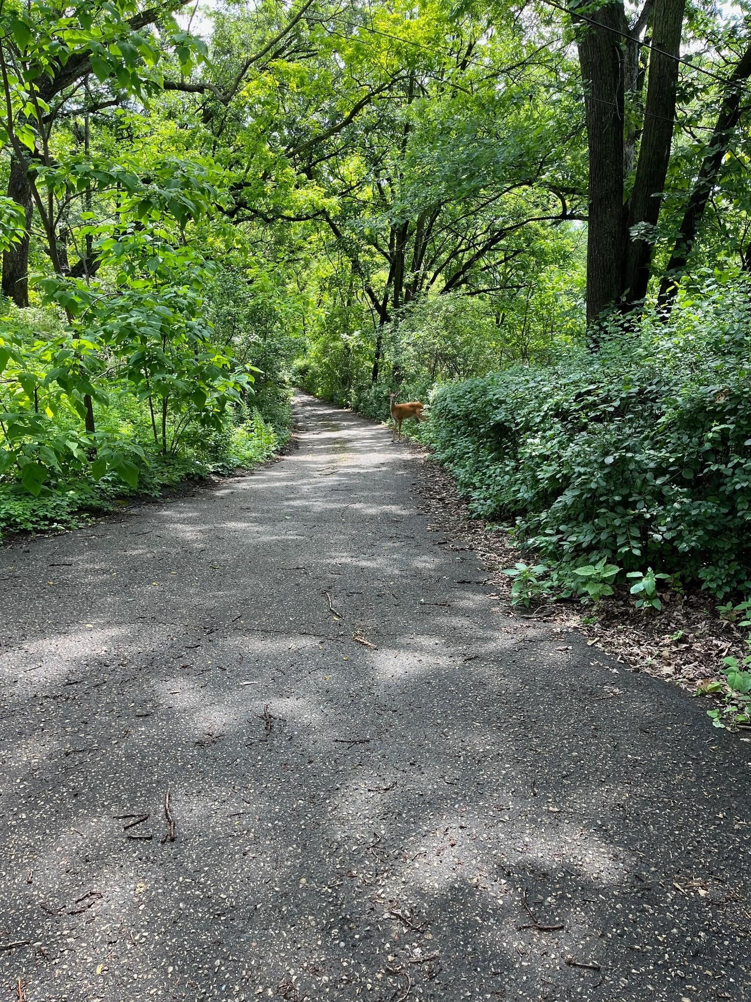 Property Photo: 5338 Highland Road MN 55345