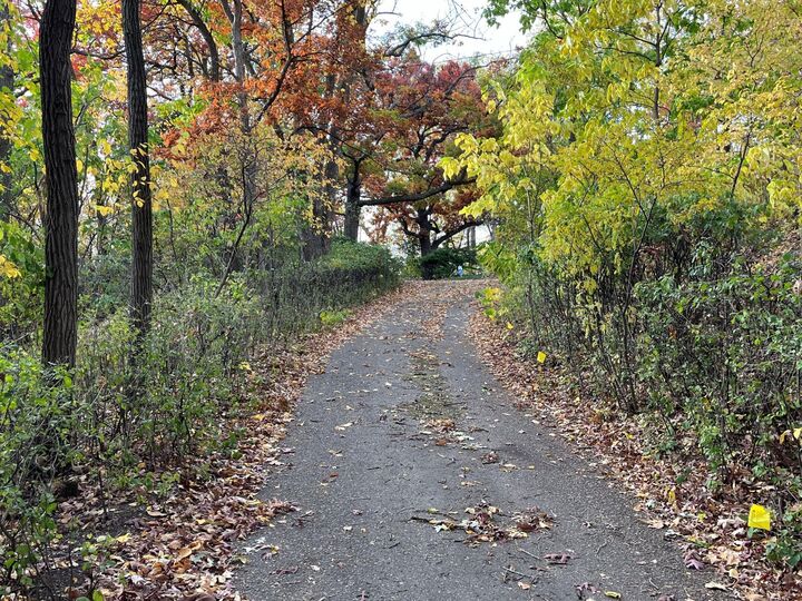 5338 Highland Road  Minnetonka MN 55345 photo