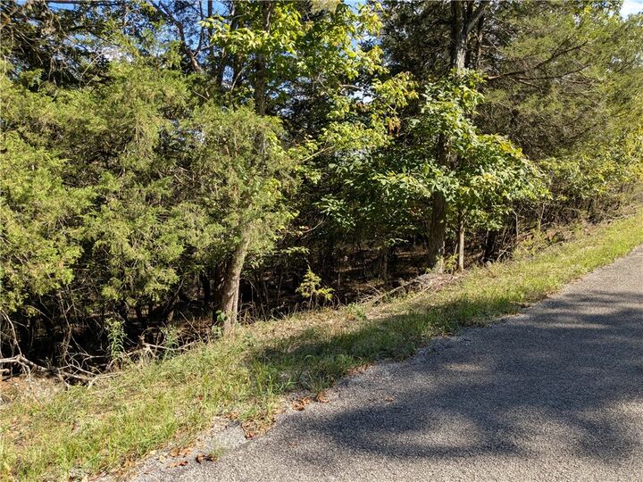 Property Photo:  125 Beaver Drive  AR 72631 