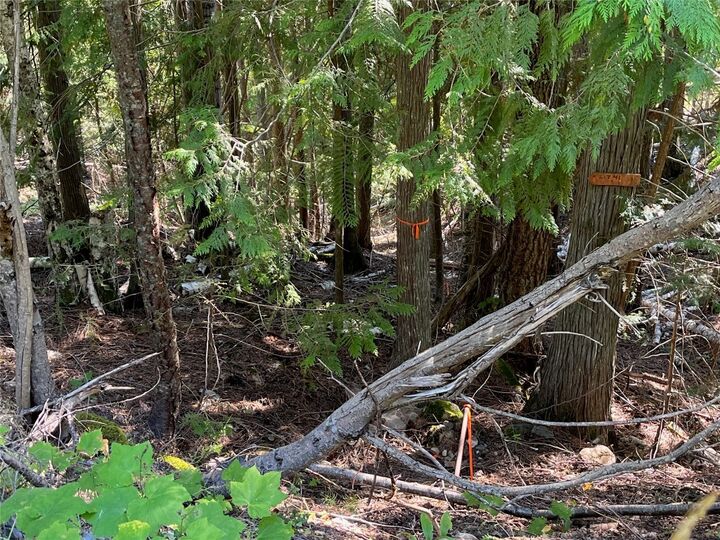 Lot 43 Vickers Trail — photo 1