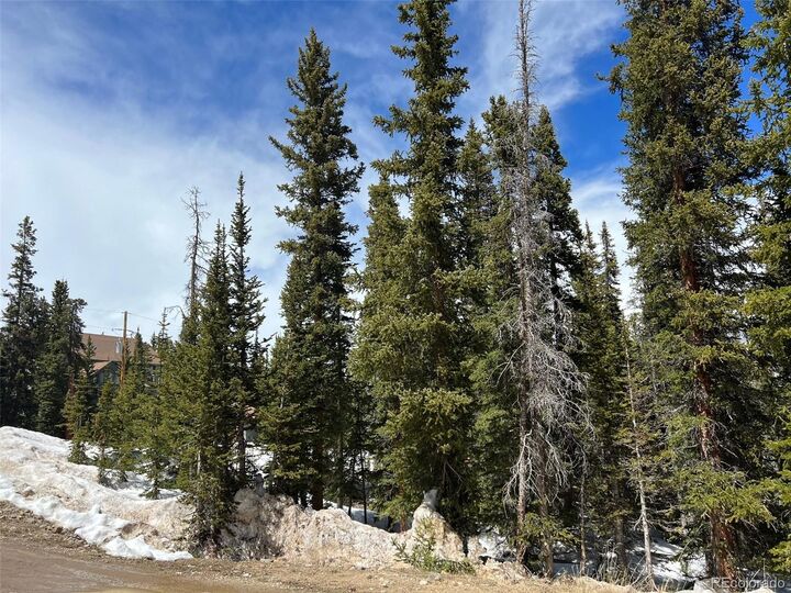 Property Photo: 134 El Lobo Lane CO 80440
