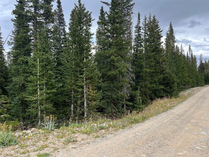 Property Photo: 134 El Lobo Lane CO 80440