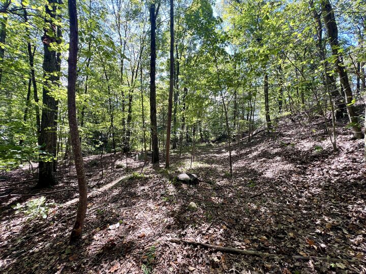 Property Photo:  3 Noguchi Trail  CT 06484 