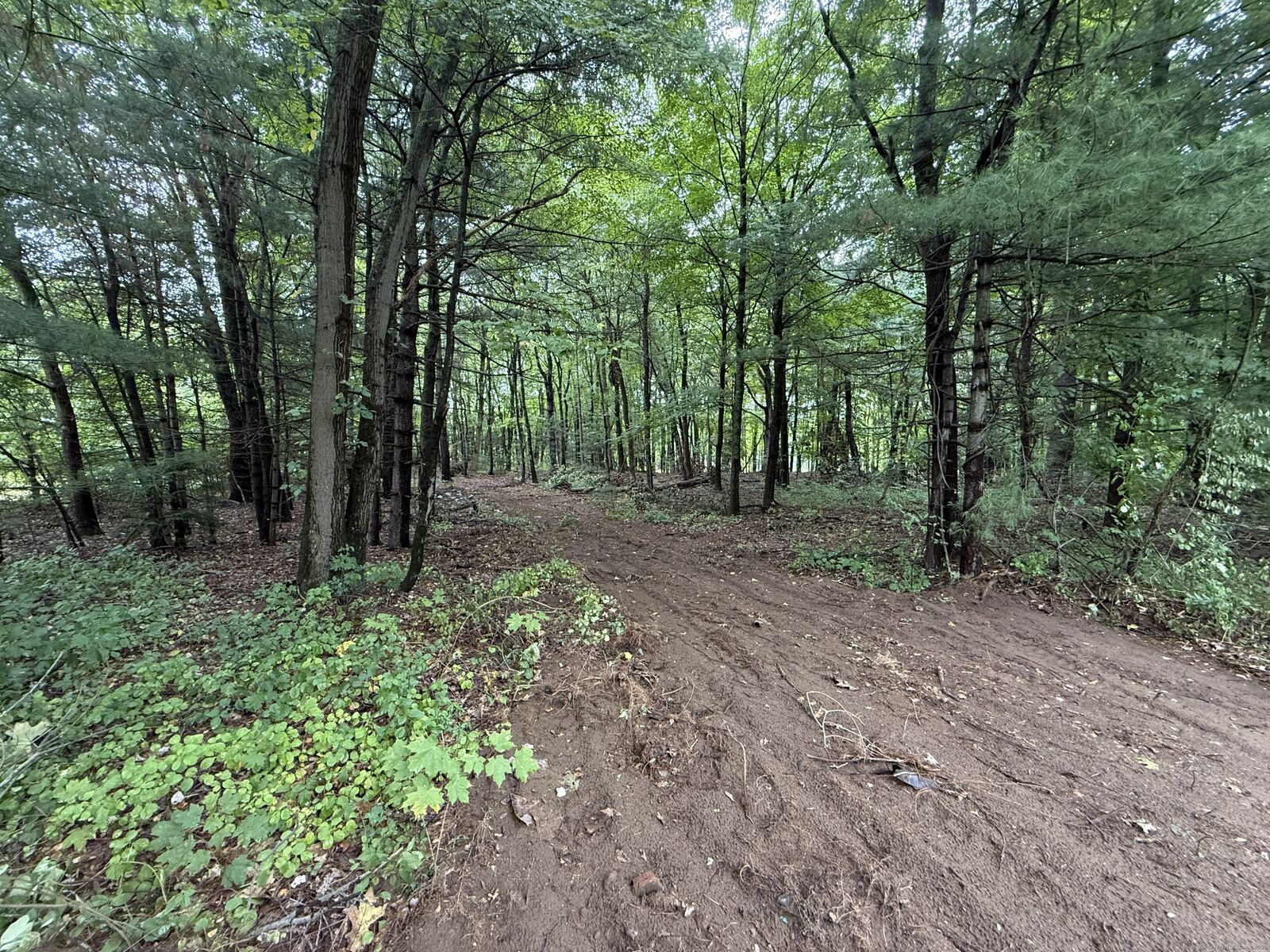 Property Photo: 95 Simon Road CT 06082