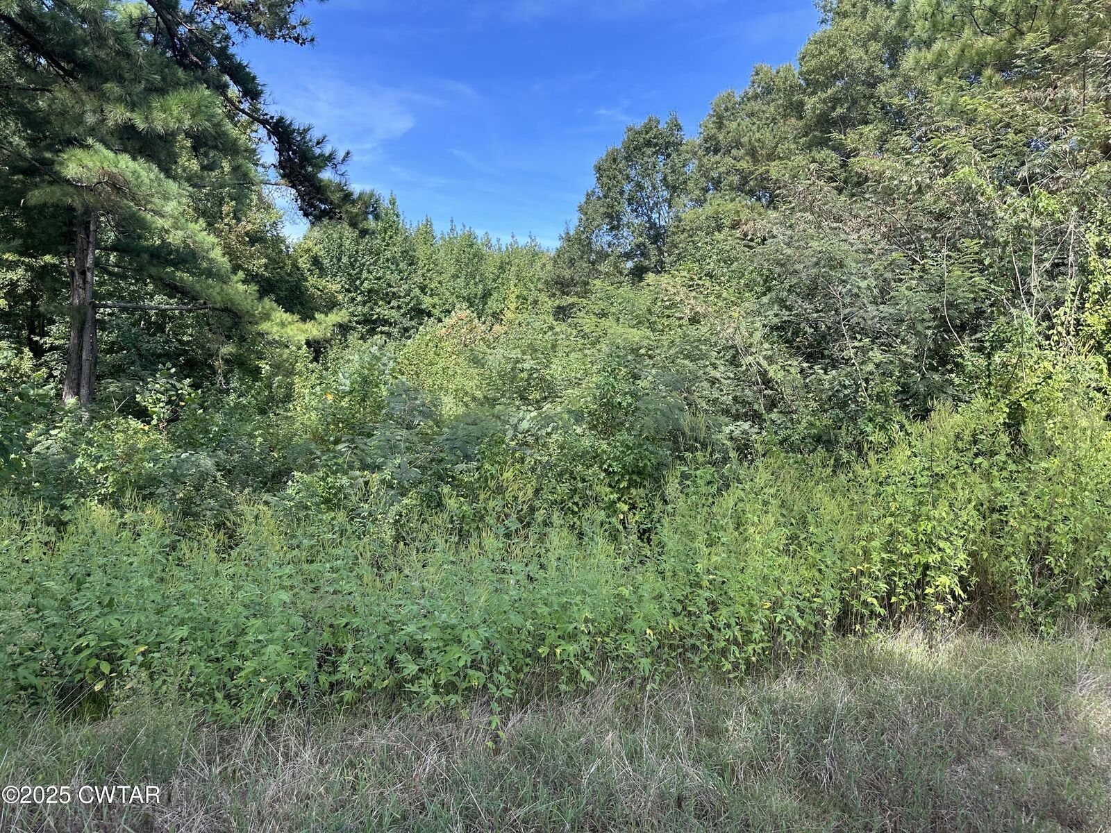 Property Photo:  00 Post Road  TN 38069 