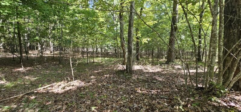 Property Photo: Lot 327 2 Lake Trl TN 37327