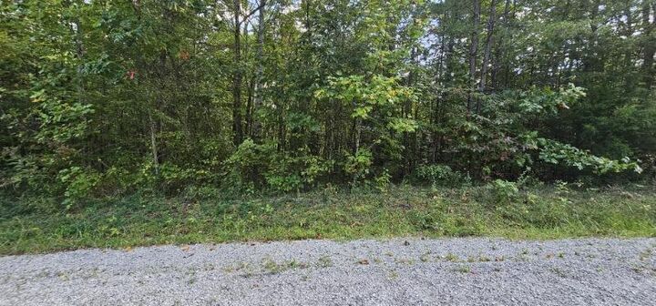 Property Photo: Lot 13 Bear Wallow Rd TN 37327