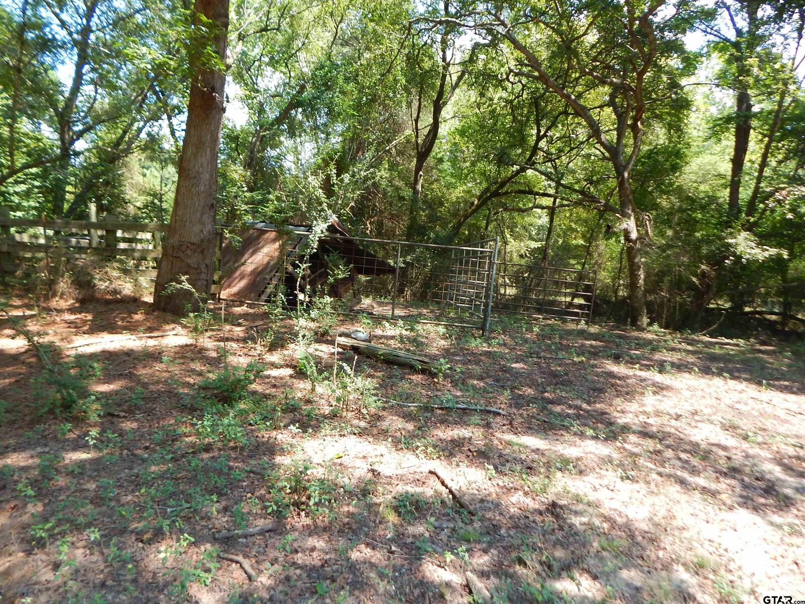 Property Photo: Tbd 45 Hwy 155 TX 75644