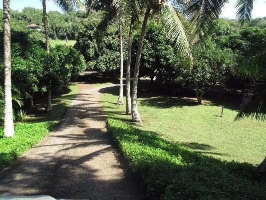 Property Photo:  6820-B Koolau Rd  HI 96754 