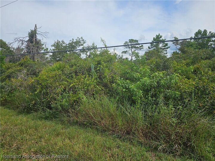 Property Photo: 1009 Lotus Street FL 33852