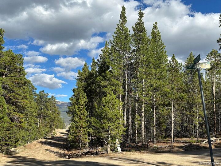 Property Photo:  143 Fir Dr  CO 80461 