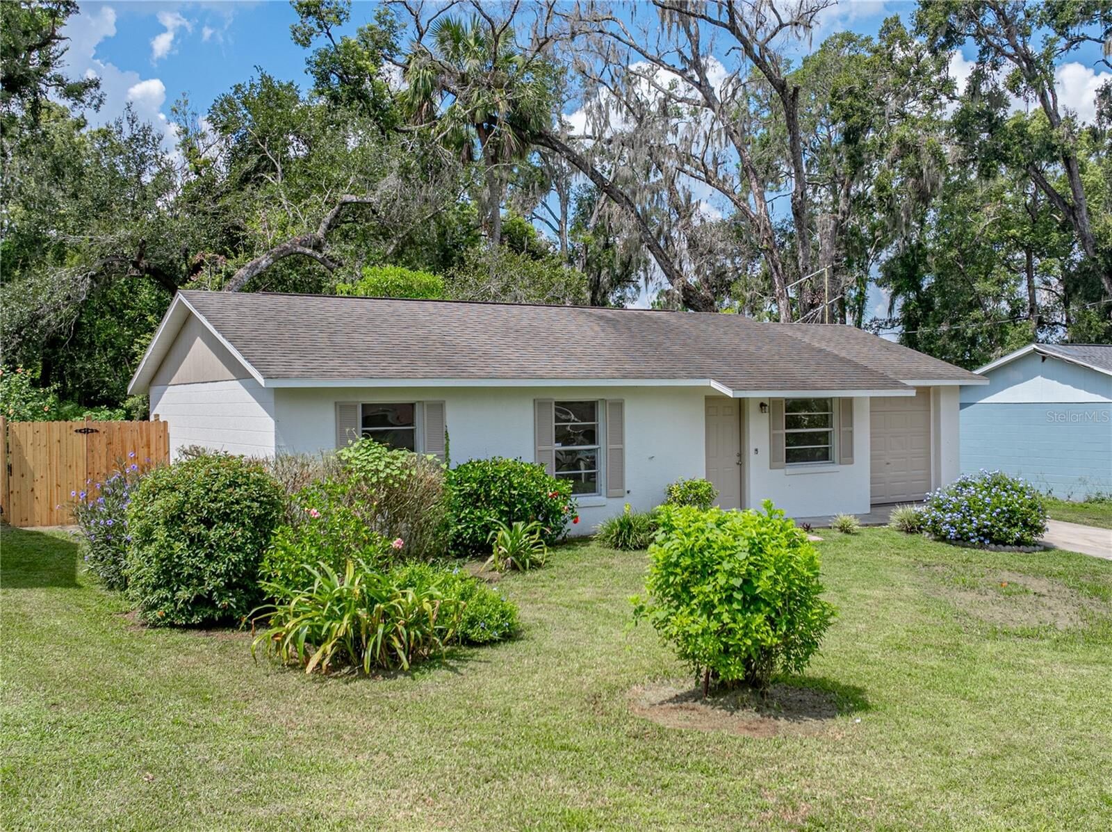 Property Photo:  36524 Jackson Avenue  FL 33525 