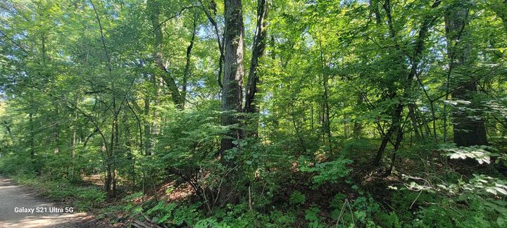 Property Photo: 19343 Ravine Drive MI 49117