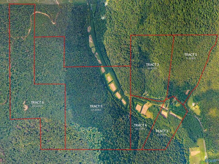 Property Photo:  3818 -4 County Road 4 Tract 4  AL 35751 