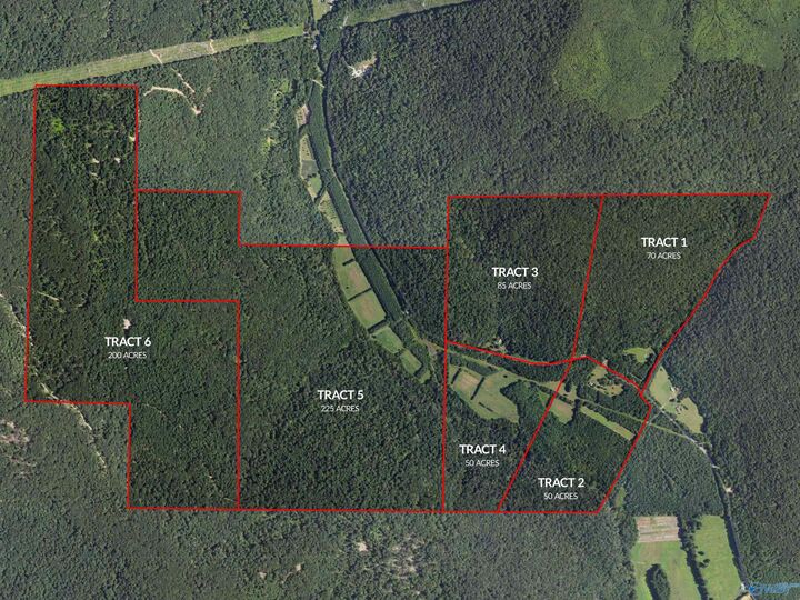 Property Photo:  3818 -5 County Road 4 Tract 5  AL 35751 