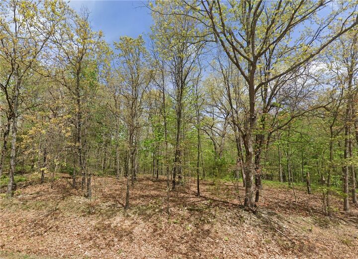 Lot 38 Dogwood Drive  Garfield AR 72732 photo