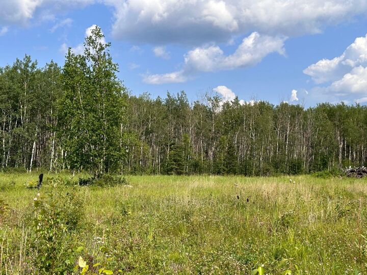 Property Photo: 67417 McGrane Road 121 AB T0A 2C2