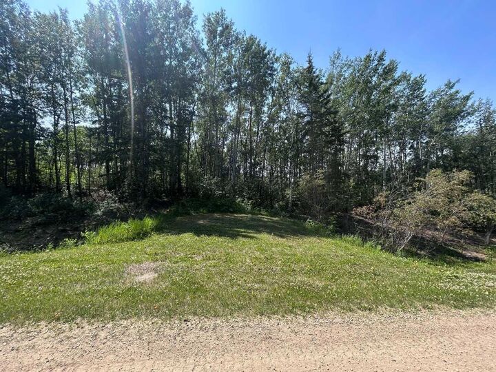 51314 RR 21 14  Rural Parkland County AB T7Y 2H5 photo