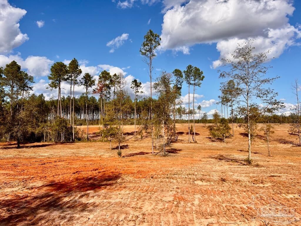 Property Photo:  Lot 9 Denali Rd  FL 32565 