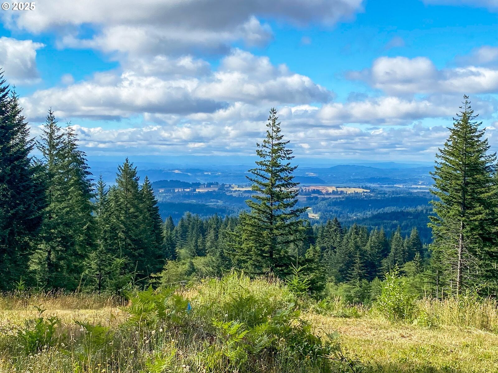 Property Photo: NE Hancock Rd 2 WA 98607