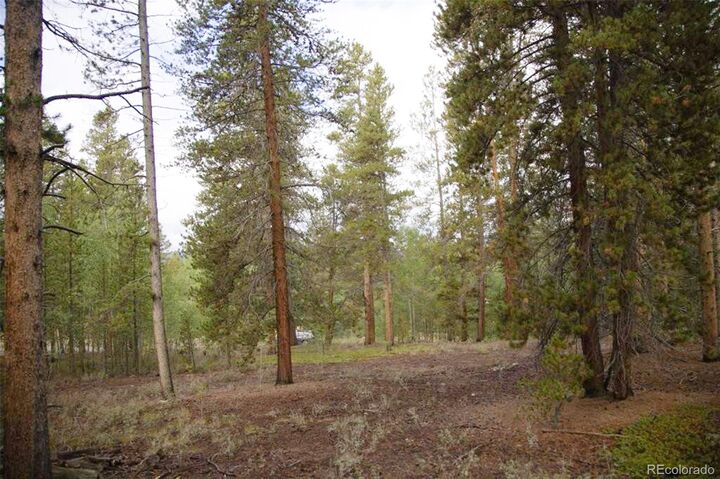 Property Photo: 416 Juniper Drive CO 81251