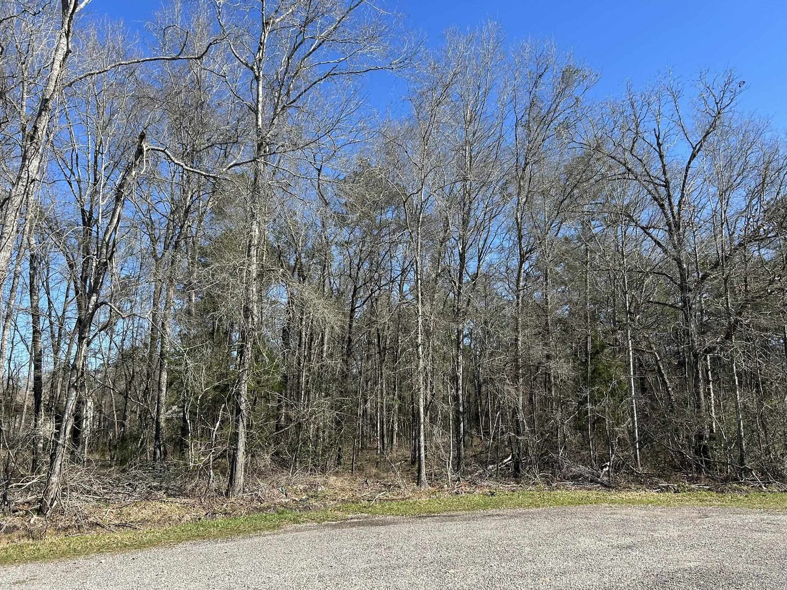 Property Photo:  1.24 Ac Circle 5  TX 77632 