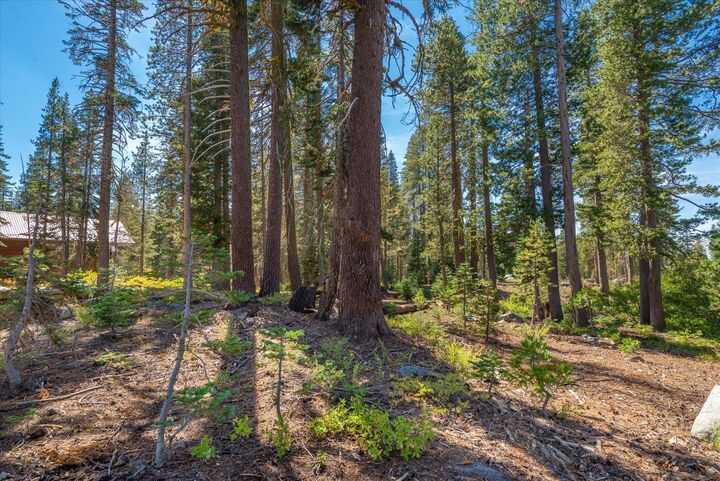 Property Photo:  8435 Hillside Drive  CA 95728-000 