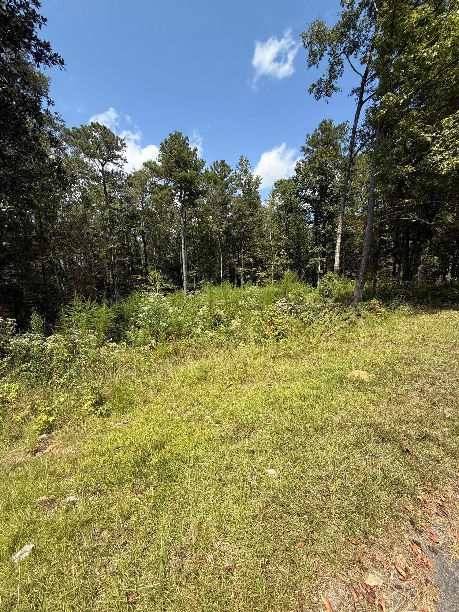 Property Photo: Woodland Cir AL 35504