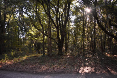 Property Photo:  139 Earnestine Drive  SC 29440 