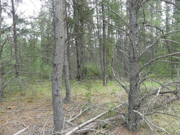 Property Photo:  104 Eagle Ridge Road  MB R0A 0Z0 