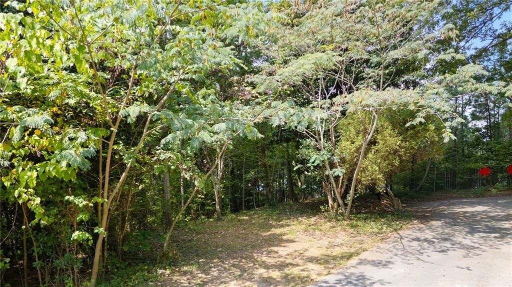Property Photo:  0 Reed Street  GA 30114 