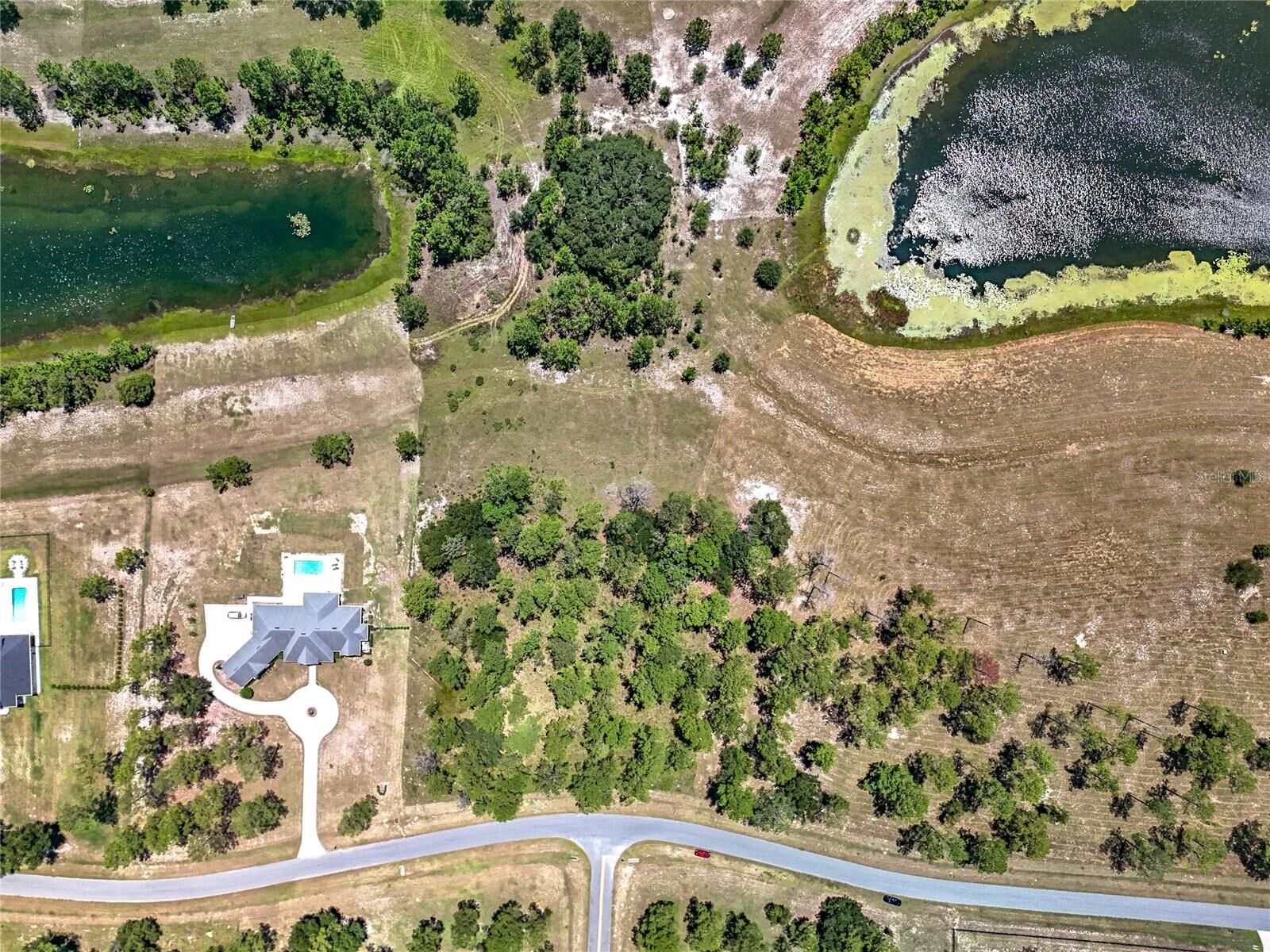 Property Photo: 35802 Pinegate Trail FL 32736