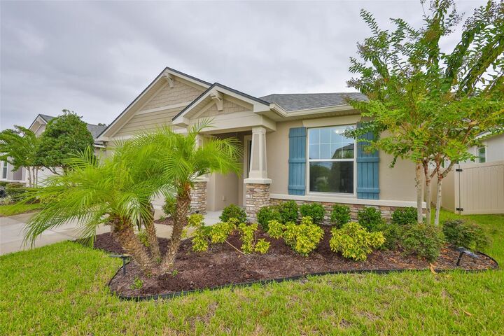 Property Photo:  11412 Blue Woods Drive  FL 33569 