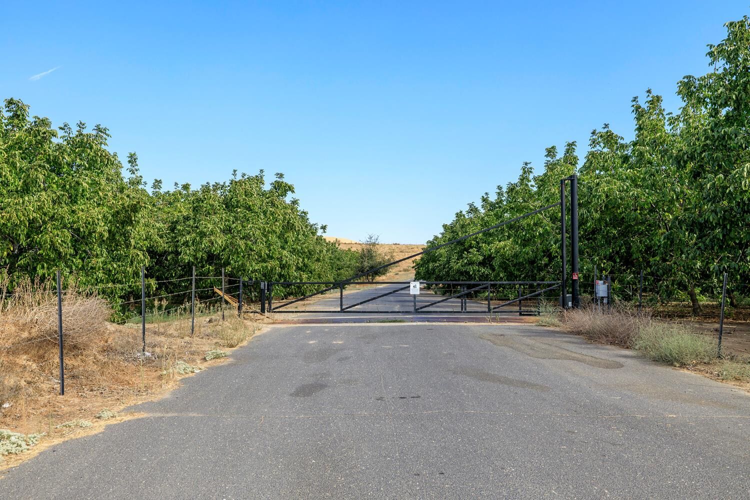 Property Photo:  262 Ca-108  CA 95361 