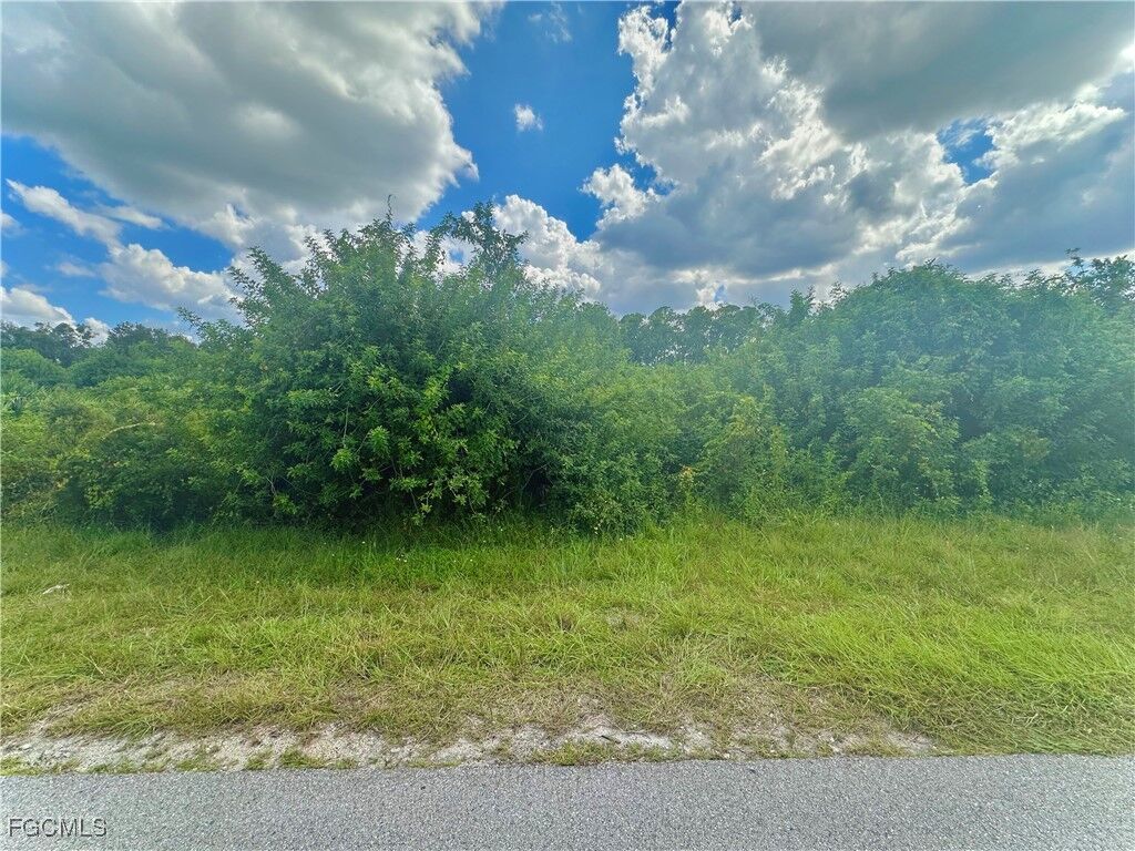 Property Photo:  1804 Mayberry Drive  FL 33972 