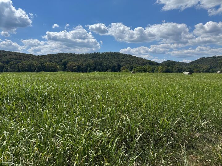 Property Photo: 64 White River Run AR 72540
