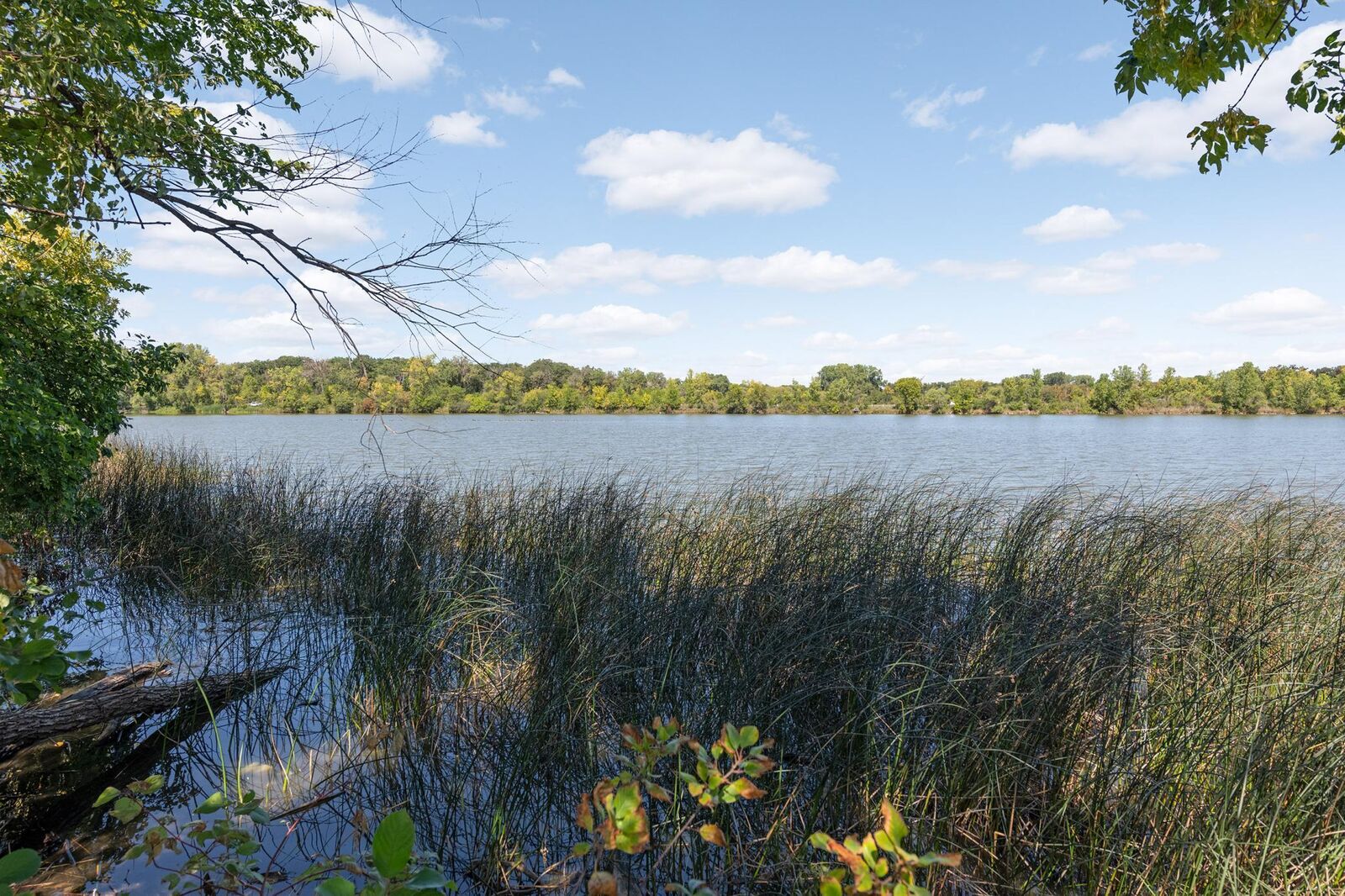 Property Photo: 4509 Laguna Drive MN 55435