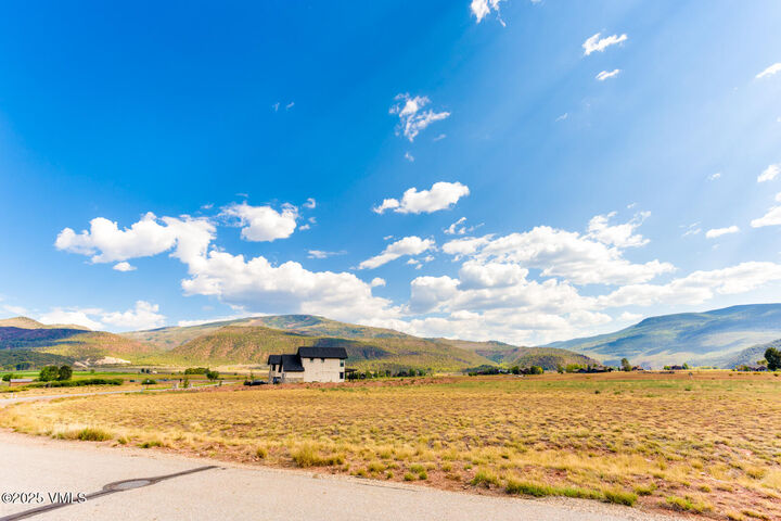 Property Photo:  113 Bucktail  CO 81637 
