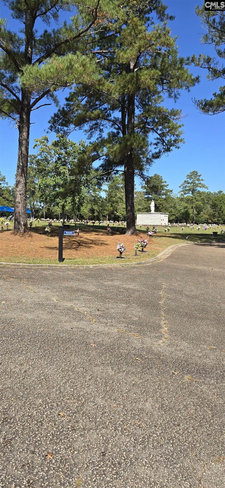 Property Photo:  138 Corley Mill  SC 29072 