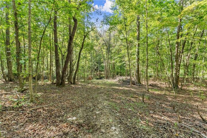 Property Photo:  0 Cleve Wright Road  GA 30534 