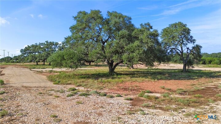 Property Photo:  154 Lone Oak Road  TX 78132 