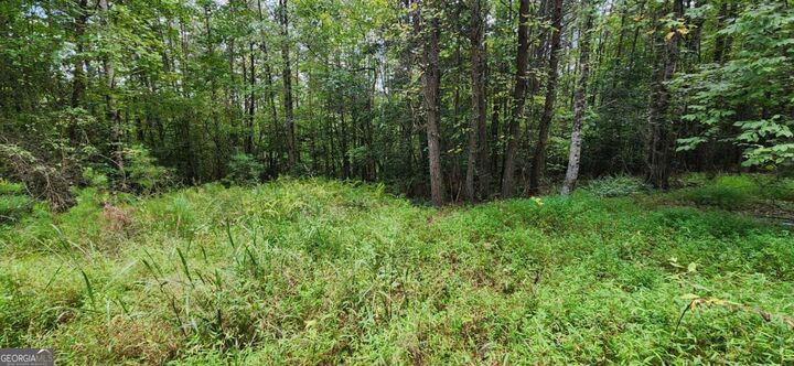 Property Photo: Lot 45 Old Mill Pond Road GA 30559
