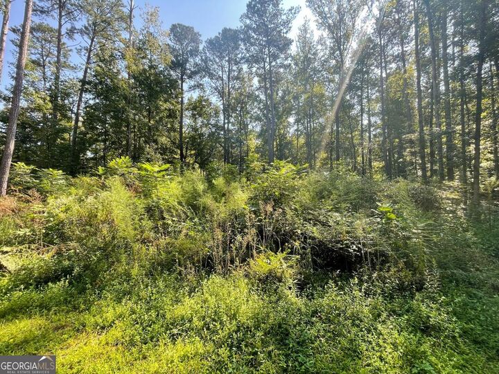 Property Photo:  6031 Falcon Court  GA 30106 